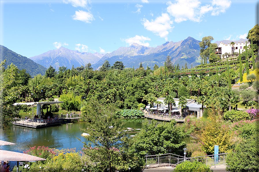 foto Giardini Trauttmansdorff - Giardini acquatici